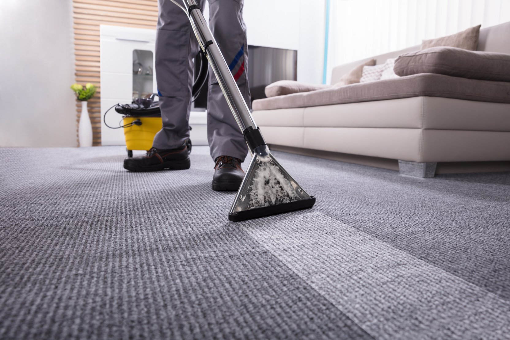 Person Cleaning Carpet With Vacuum Cleaner